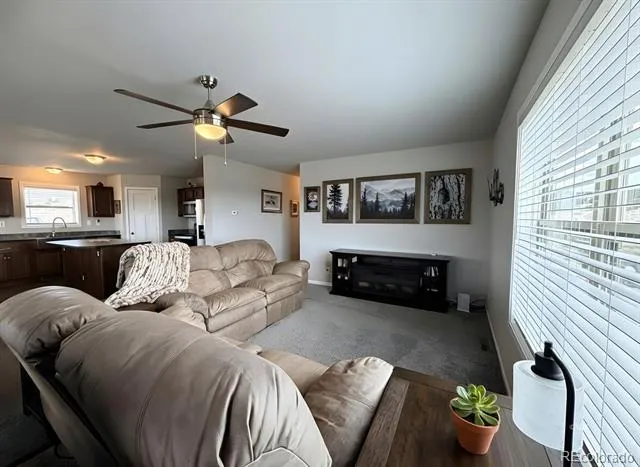 296 Arapahoe Circle Westcliffe, CO 81252