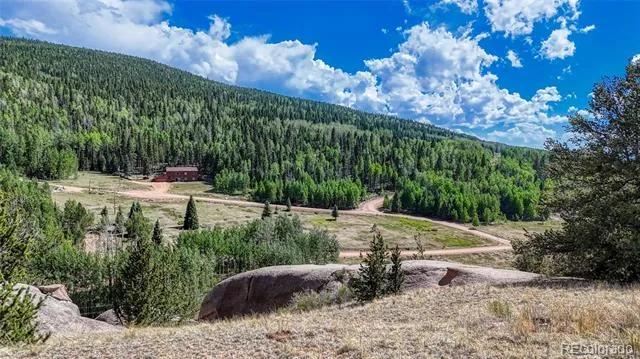 282 Fairview Drive Florissant, CO 80816