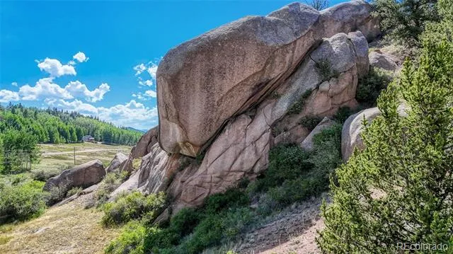 282 Fairview Drive Florissant, CO 80816