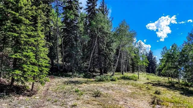 282 Fairview Drive Florissant, CO 80816