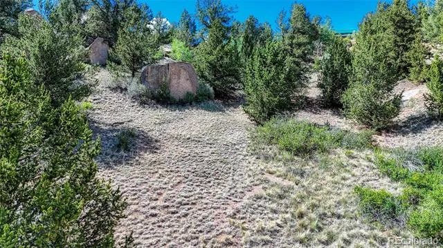 282 Fairview Drive Florissant, CO 80816