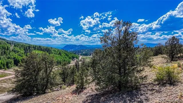 282 Fairview Drive Florissant, CO 80816