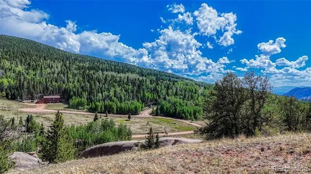 282 Fairview Drive Florissant, CO 80816