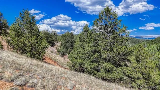 282 Fairview Drive Florissant, CO 80816
