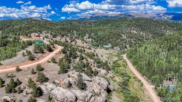 282 Fairview Drive Florissant, CO 80816