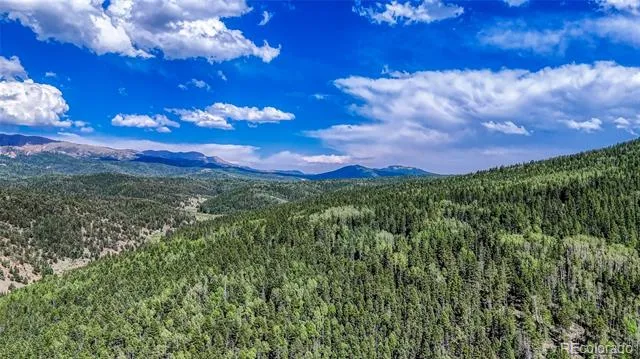 282 Fairview Drive Florissant, CO 80816