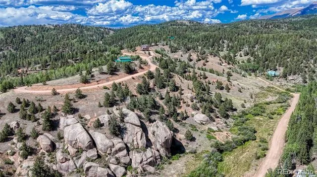282 Fairview Drive Florissant, CO 80816
