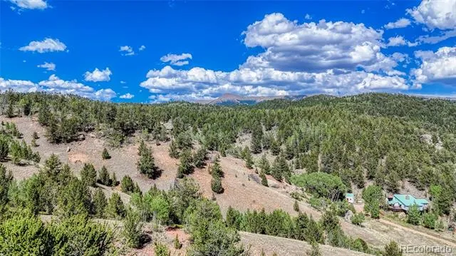 282 Fairview Drive Florissant, CO 80816