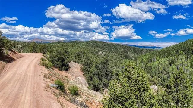 282 Fairview Drive Florissant, CO 80816
