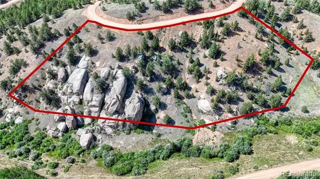 282 Fairview Drive Florissant, CO 80816