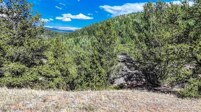 282 Fairview Drive Florissant, CO 80816