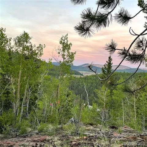 0 S Highway 67 Cripple Creek, CO 80813
