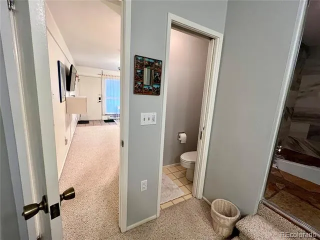 244 Lodgepole Street #15 Dillon, CO 80435