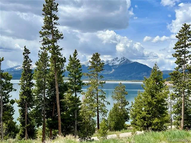 244 Lodgepole Street #15 Dillon, CO 80435