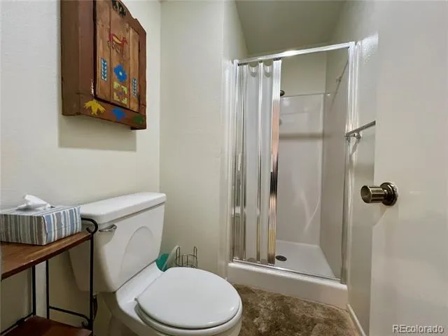 244 Lodgepole Street #15 Dillon, CO 80435