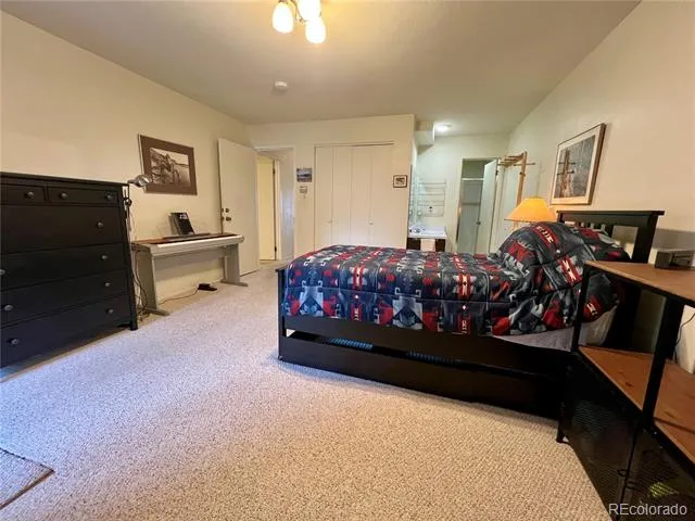 244 Lodgepole Street #15 Dillon, CO 80435