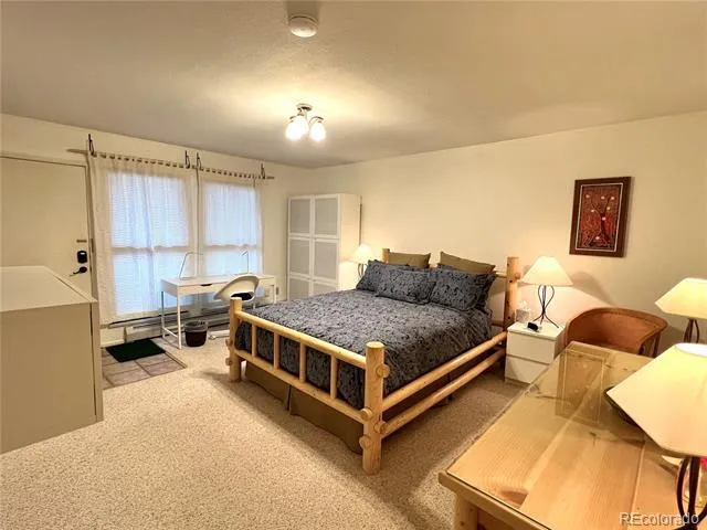 244 Lodgepole Street #15 Dillon, CO 80435