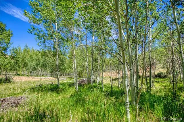 302 Rickel Circle South Fork, CO 81154
