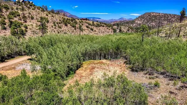 302 Rickel Circle South Fork, CO 81154
