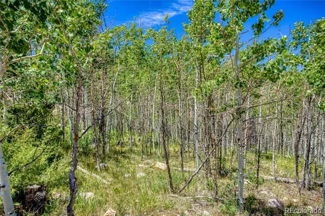 302 Rickel Circle South Fork, CO 81154