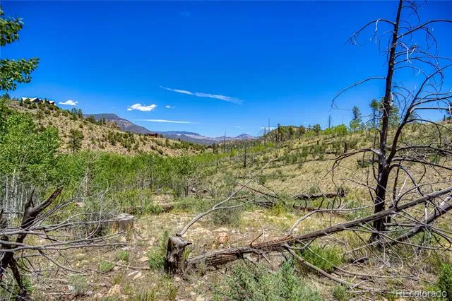 302 Rickel Circle South Fork, CO 81154