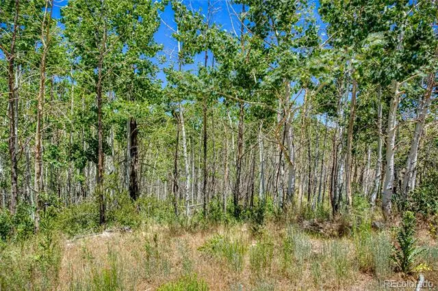 302 Rickel Circle South Fork, CO 81154