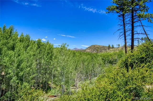 302 Rickel Circle South Fork, CO 81154