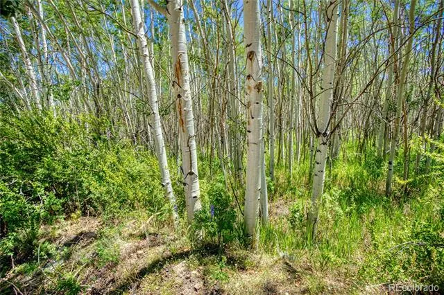 302 Rickel Circle South Fork, CO 81154