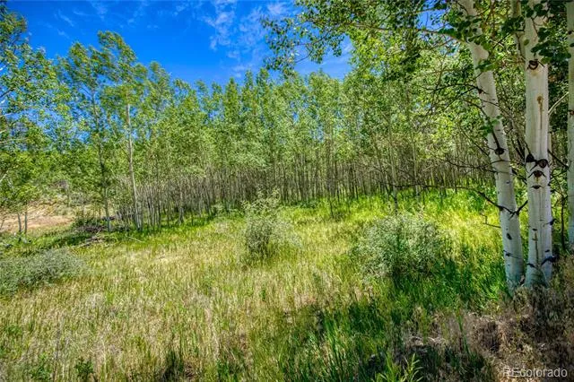 302 Rickel Circle South Fork, CO 81154
