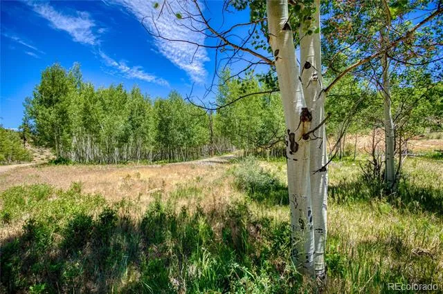 302 Rickel Circle South Fork, CO 81154