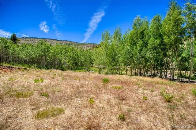302 Rickel Circle South Fork, CO 81154