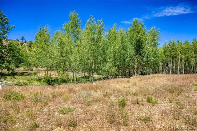 302 Rickel Circle South Fork, CO 81154