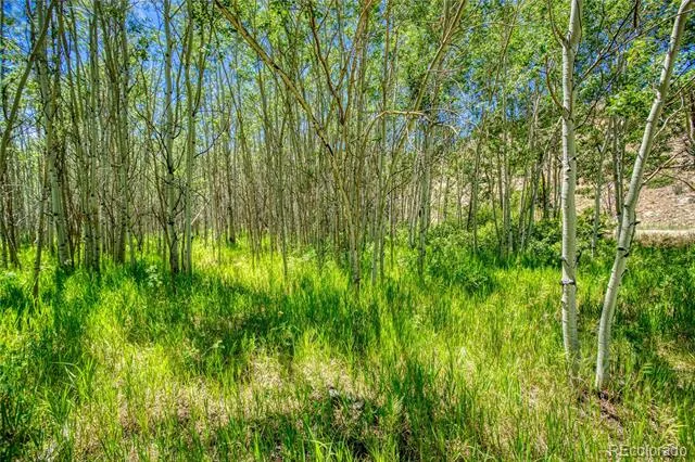 302 Rickel Circle South Fork, CO 81154