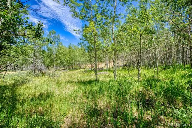 302 Rickel Circle South Fork, CO 81154