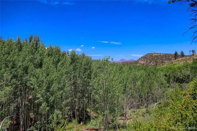 302 Rickel Circle South Fork, CO 81154