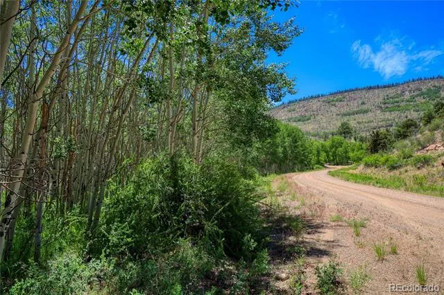 302 Rickel Circle South Fork, CO 81154