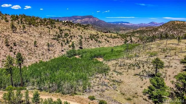 302 Rickel Circle South Fork, CO 81154