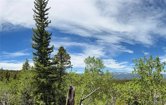 Lot 5 Roosevelt Ridge Black Hawk, CO 80422