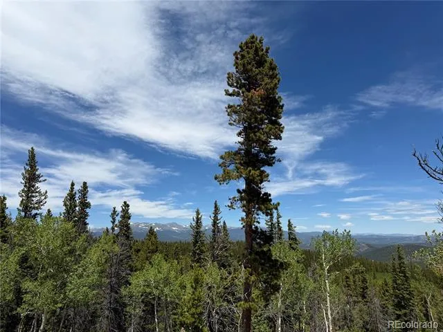 Lot 5 Roosevelt Ridge Black Hawk, CO 80422