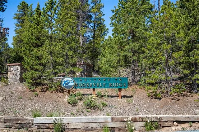 Lot 5 Roosevelt Ridge Black Hawk, CO 80422