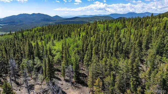 Lot 5 Roosevelt Ridge Black Hawk, CO 80422
