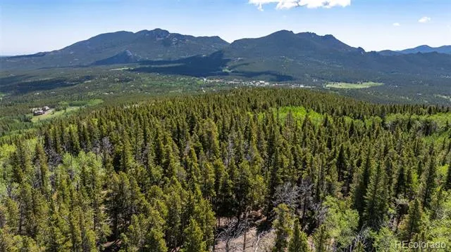 Lot 5 Roosevelt Ridge Black Hawk, CO 80422
