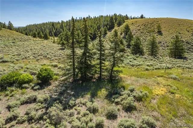 Address Not Shown Leadville, CO 80461