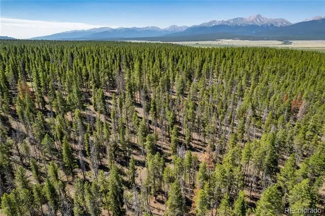 Address Not Shown Leadville, CO 80461