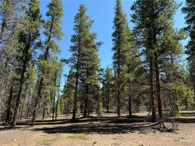 Address Not Shown Leadville, CO 80461