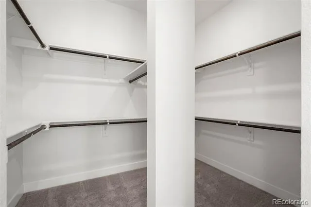 17242 Alsike Clover Court Monument, CO 80132