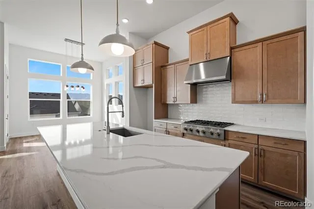17242 Alsike Clover Court Monument, CO 80132