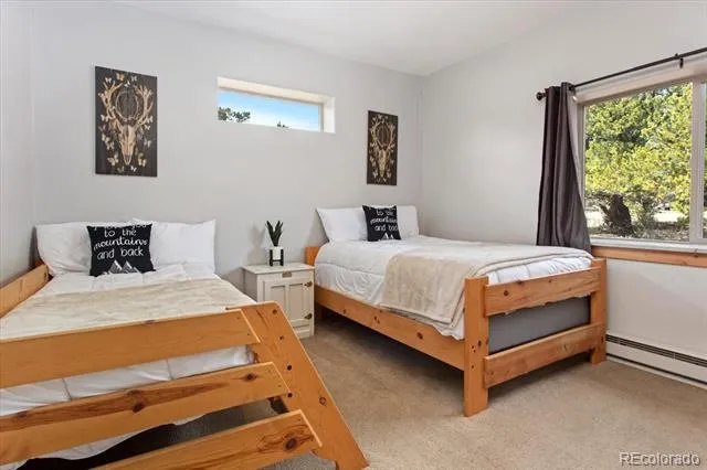 17158 County Road 363 Buena Vista, CO 81211