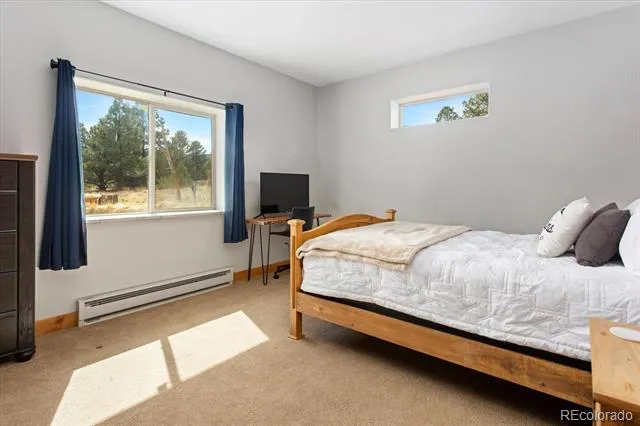 17158 County Road 363 Buena Vista, CO 81211