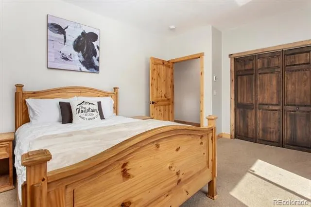 17158 County Road 363 Buena Vista, CO 81211